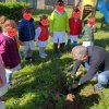 Albero Castellonorato